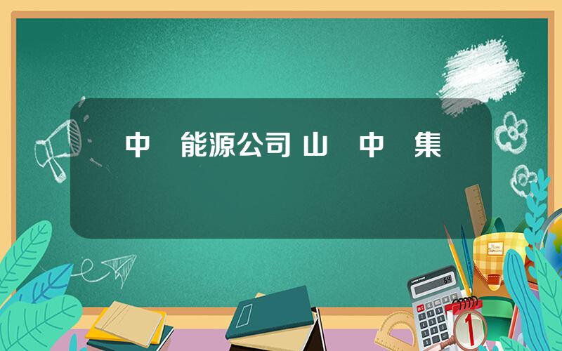 中鋁能源公司 山東中鋁集團